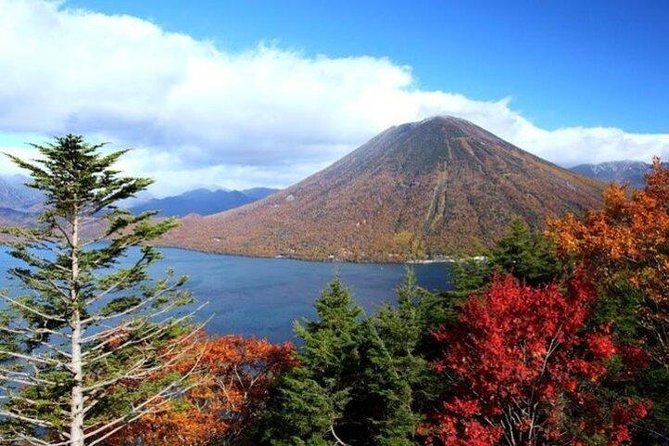 Nikko Full-Day Private Tour With Government-Licensed Guide - Visiting Nikko National Park