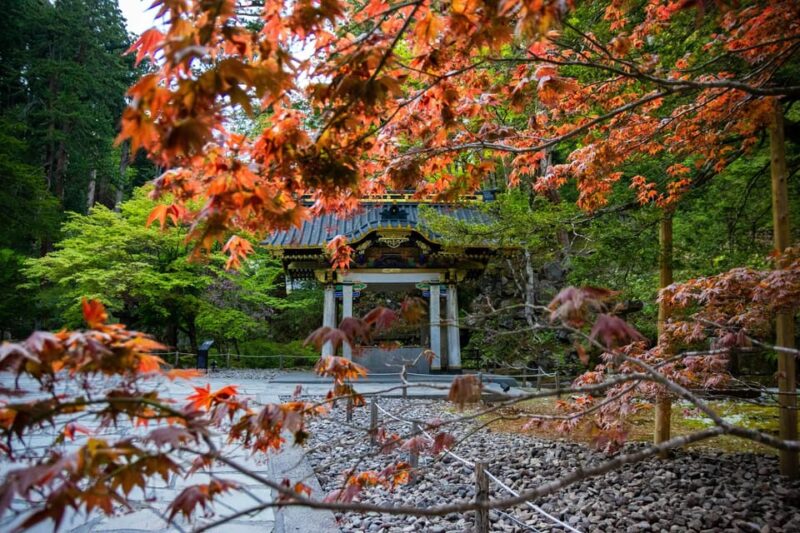 Nikko Full Day Private Trip and Sightseeing: - Nikko Tamozawa Imperial Villa