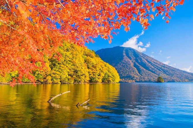 Nikko Full-Day Private Walking Tour With Government-Licensed Guide (Tokyo Dep.) - Exceptional Customer Reviews