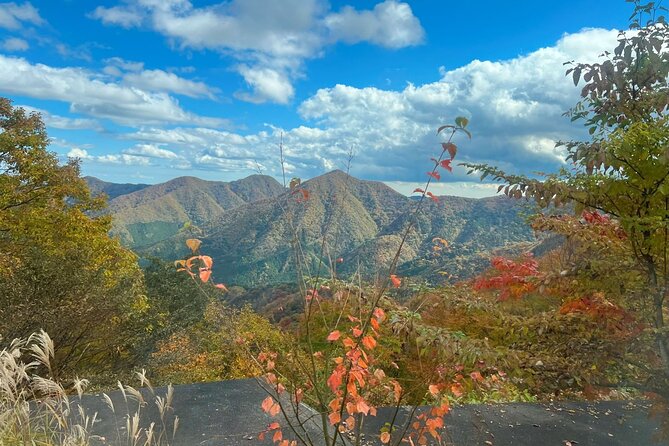 Nikko Guided Cycling Tour With a Local Monk - Booking Information