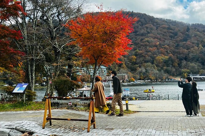 Nikko Heritage Private Tour With English Guide From Tokyo - Accessibility and Transportation