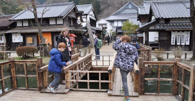 Nikko in Style: Luxury Mercedes Tour With English Guide - Tour Features