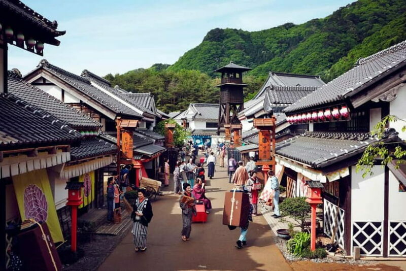 Nikko in Style: Luxury private Day Tour with English guide - An Introduction to the Experience