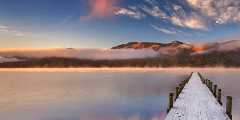 Nikko in Style: Luxury private Day Tour with English guide - Who Would Love This Tour?