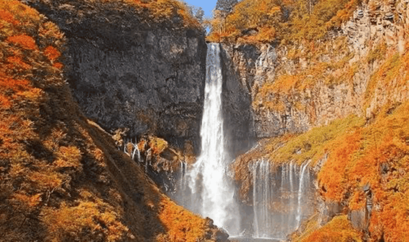 Nikko Private Customize Tour With English Speaking Driver - Key Points