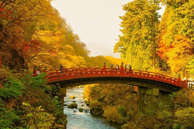 Nikko Private Day Tour by Car With Pick up From Tokyo - Accessibility of the Tour