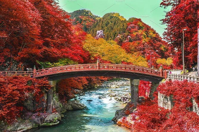 Nikko Private Day Tour by Car With Pick up From Tokyo - Reasons to Book the Nikko Tour