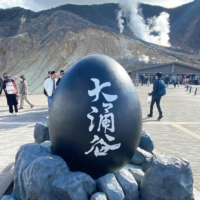 Nikko Private Day Tour with English Speaking Expert Driver - Authentic Experiences and Traveler Feedback