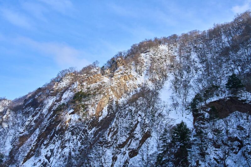 Nikko Private Day Trip: Explore Japans World Heritage - Explore Rinnoji Temple
