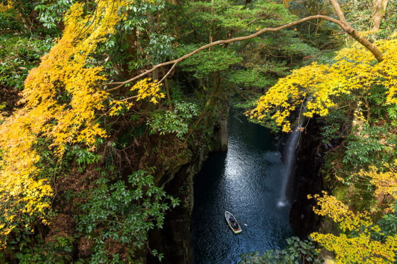 Nikko Private Day Trip With English Driver-Guide From Tokyo - Toshogu Shrine: A UNESCO World Heritage Site