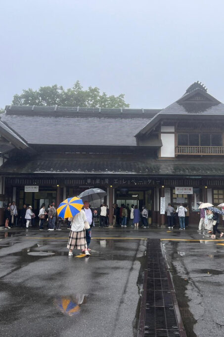 Nikko Private Day Trip With English Driver-Guide - Booking and Availability