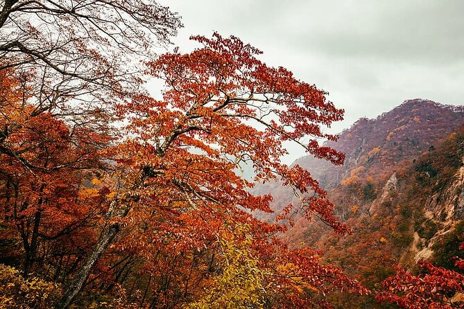 Nikko Private Day Trip With English Speaking Driver - Accessibility Options