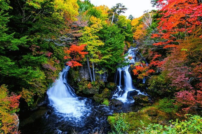 Nikko Private Day Trip With English Speaking Driver From Tokyo - Pickup Information