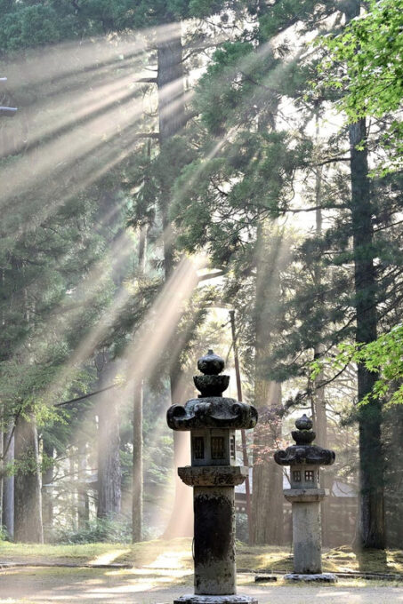 Nikko Private Day Trip With Hotel Pickup/Drop off - Important Policies and Restrictions