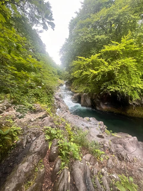 Nikko: Private Guided Tour by Car With English Guide - Key Points