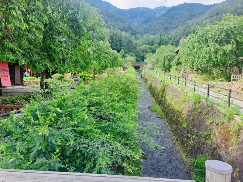 Nikko: Private Guided Tour by Car With English Guide - English-Speaking Guide