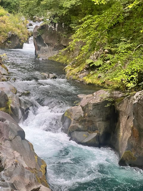 Nikko: Private Guided Tour by Car With English Guide - Meals and Drinks