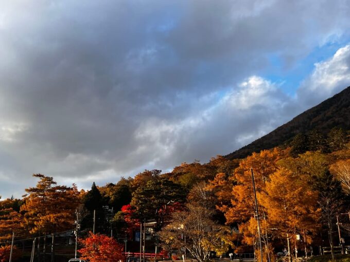 Nikko: Private Guided Tour by Car With English Guide - Additional Attractions