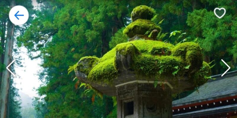 Nikko: Private Sightseeing Tour With UNESCO World Heritage - Itinerary Breakdown