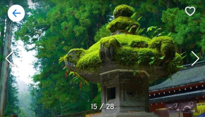 Nikko: Private Sightseeing Tour With UNESCO World Heritage - Serene Lake Chuzenji