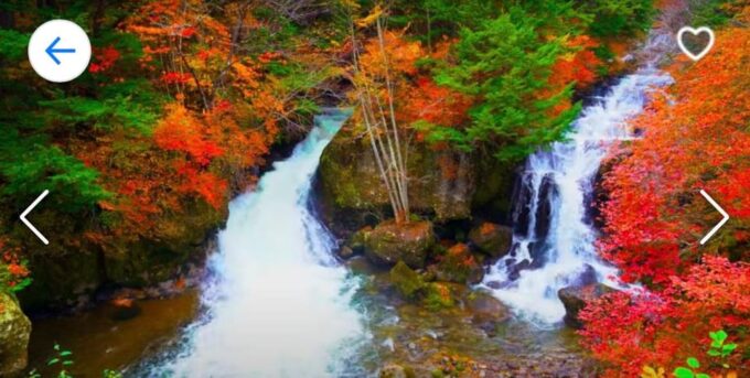 Nikko: Private Sightseeing Tour With UNESCO World Heritage - Shinkyo Bridge Marvels