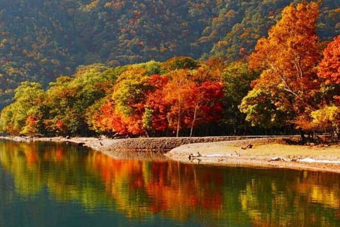 Nikko Private Tour by Car With English Speaking Driver - Additional Information and Recommendations