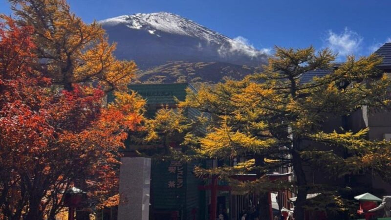 Nikko Private Tour With English Speaking Driver - Destinations Covered