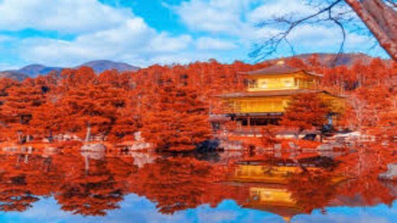 Nikko Private Tour With English Speaking Driver - Akechidaira Ropeway Observation Deck