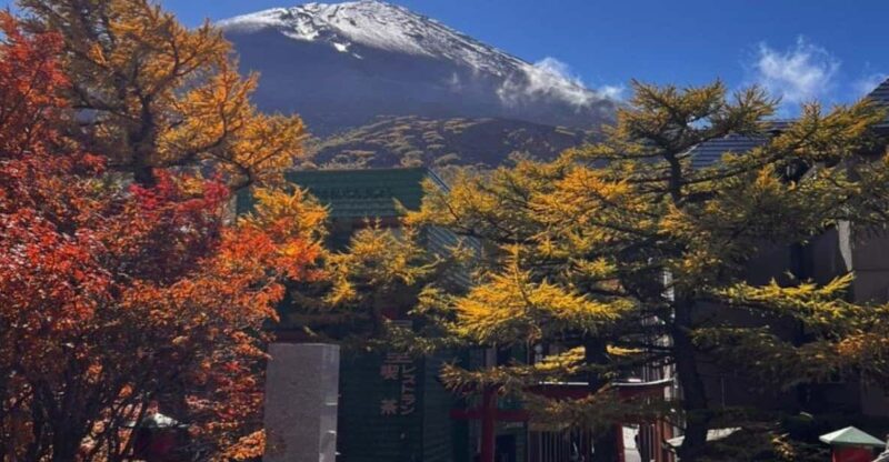 Nikko Private Tour With English Speaking Driver - Shinkyo Bridge and Imperial Villa
