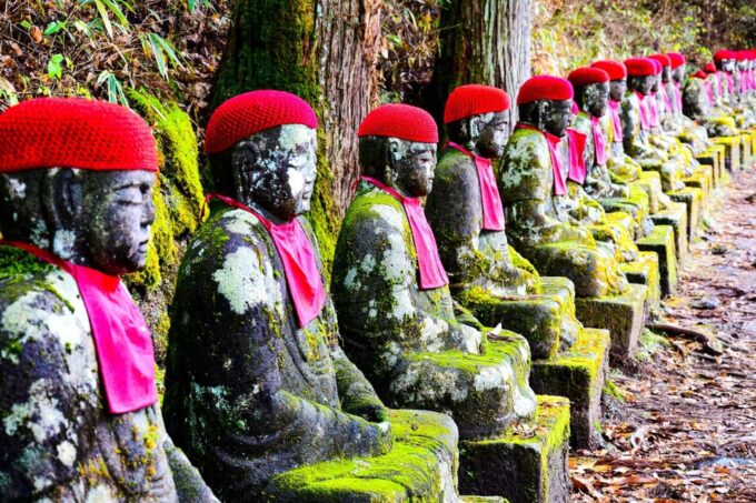 Nikko: Sightseeing Customized Private English Full Day Trip - Customizable Pickup and Drop-off