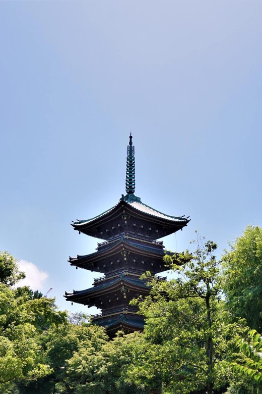 Nikko Sightseeing Day Trip With English Speaking Guide - Itinerary Highlights