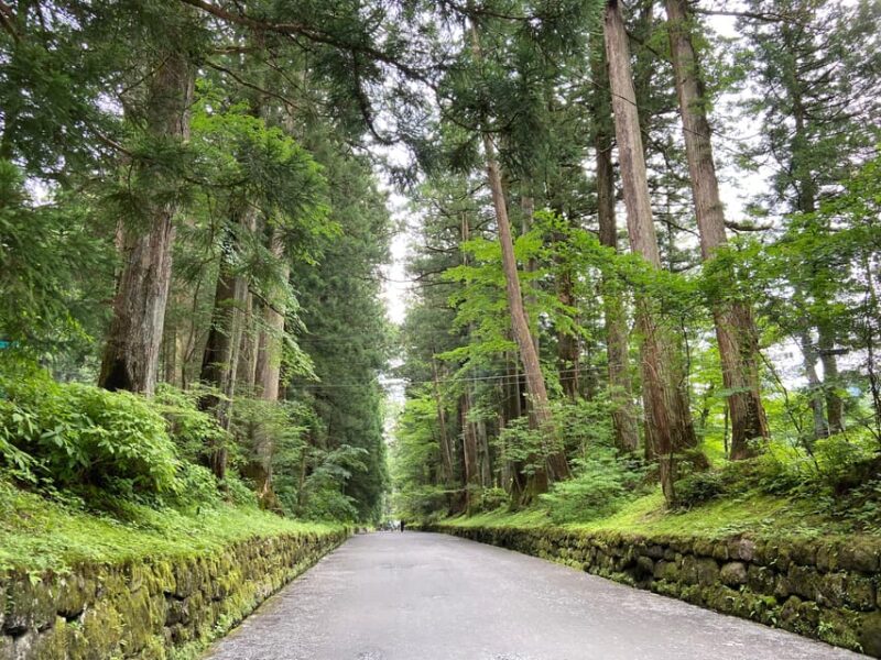 Nikko: THE TOUR From NIKKO STATION (LOCAL GUIDE) - Key Points