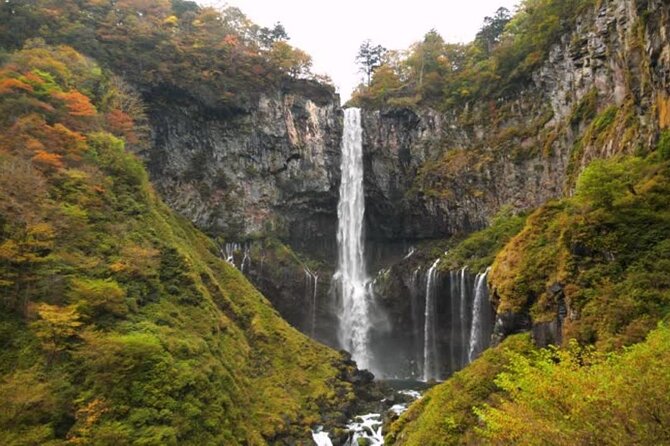 Nikko Toshogu Shrine Day Trip With English Professional Guide - Pickup and Meeting Details