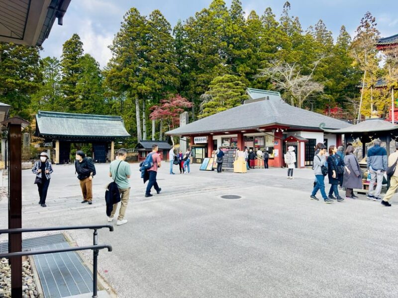 Nikko Toshugu, Lake Chuzenji and Kegon Waterfall Day Tour - Inclusions