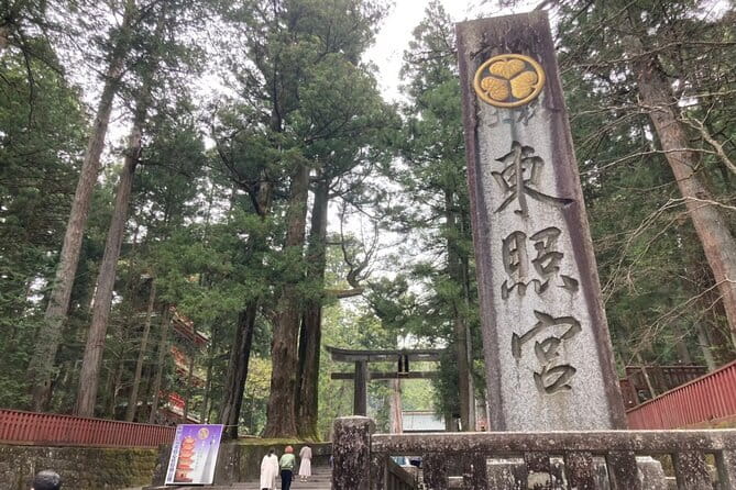 Nikko Tour From Tokyo With Licensed Guide via Private Car - Accessibility and Participation