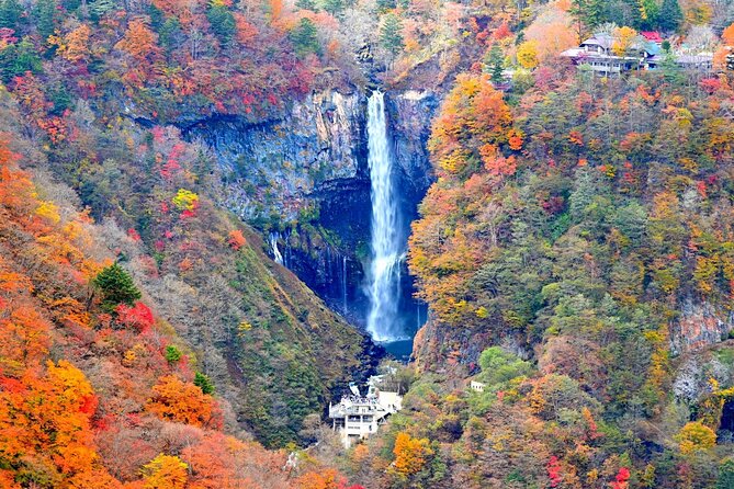 Nikko Tour From Tokyo With Licensed Guide via Private Car - Group Size and Pricing