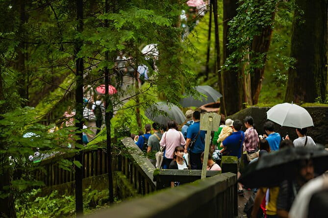 Nikko World Heritage Full Day Trip - Accessibility