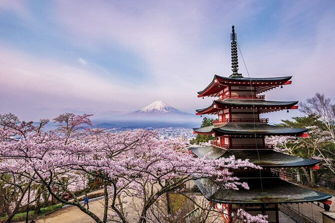 Nikko World Heritage Full Day Trip - Additional Information