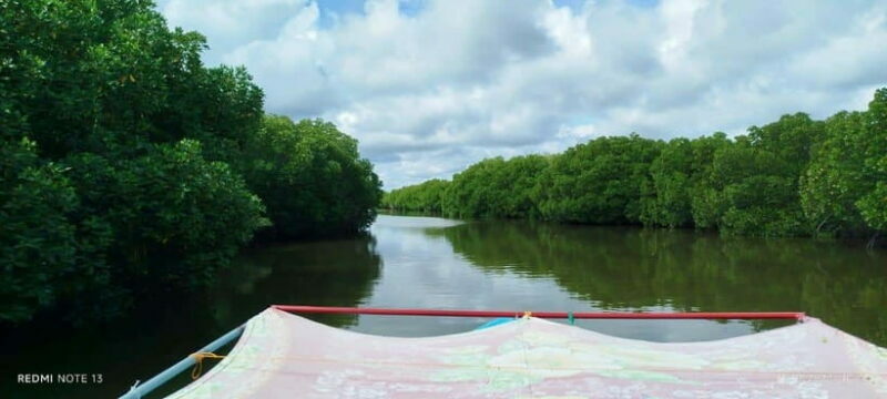 Nilaveli: Lagoon Boat Safari with Mangrove Exploration - An In-Depth Look at the Lagoon Boat Safari Experience