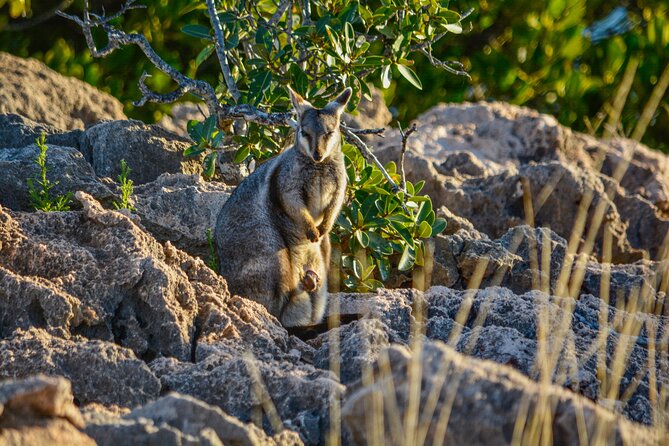 Ningaloo in a Day - Full Day Hike and Snorkel Tour With Lunch - Booking and Cancellation Policy