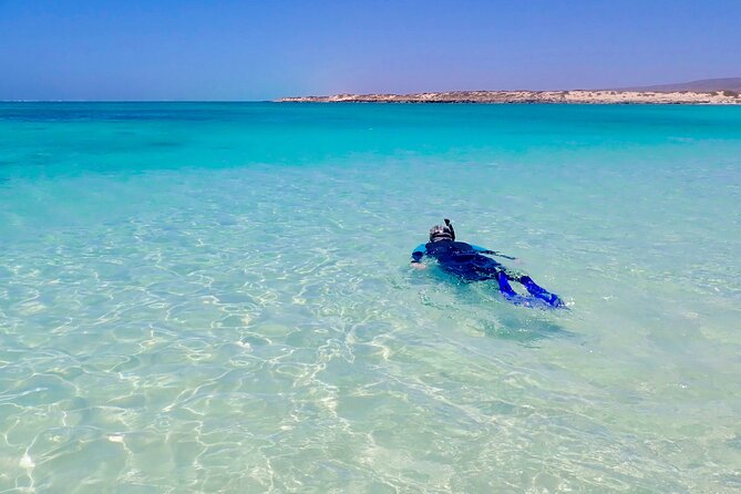 Ningaloo in a Day - Full Day Hike and Snorkel Tour With Lunch - Dietary Needs Catered