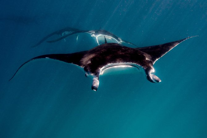 Ningaloo Reef Snorkel and Wildlife Adventure - Meeting and Pickup Locations