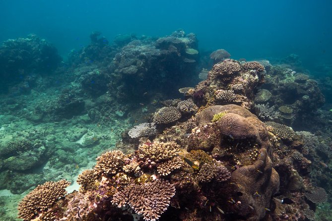Ningaloo Reef Snorkel and Wildlife Adventure - Pricing and Cancellation Policy