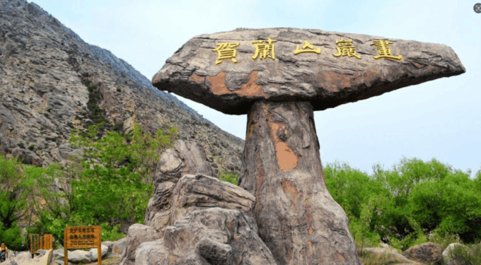 Ningxia Day Tour Mausoleum Red Wine Garden &Stone Carvings - Itinerary Details