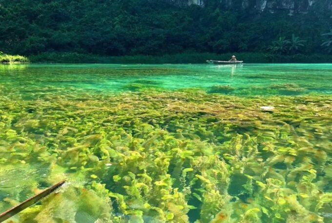 Ninh Binh 1-Day Tour Bai Dinh Trang an Mua Cave Small Group - Buffet Lunch