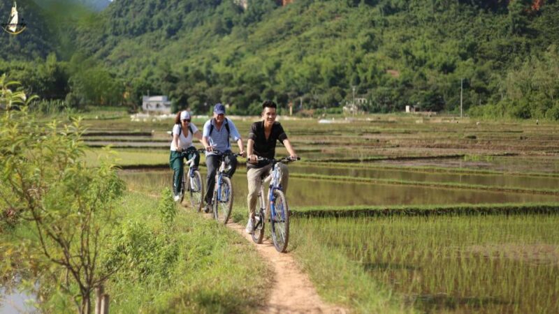 Ninh Binh: 2-Day Excursion With Guide and Activities - Highlights