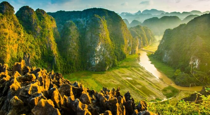 Ninh Binh 2-Day Tour: History, Nature & Adventure - Day 2: Birdwatching Adventure