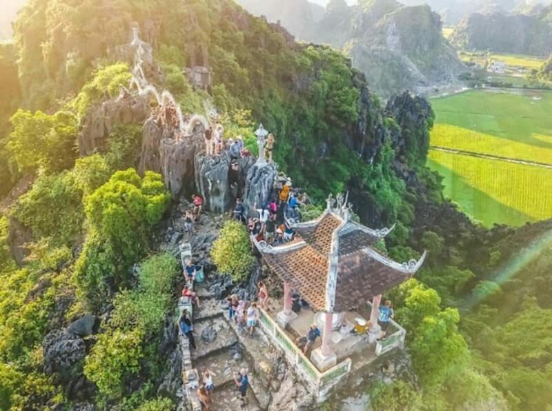 Ninh Binh 4-in-1 Daily Tour: Cave, Temple & Scenic Landscape - The Bottom Line: Who Will Love This Tour?