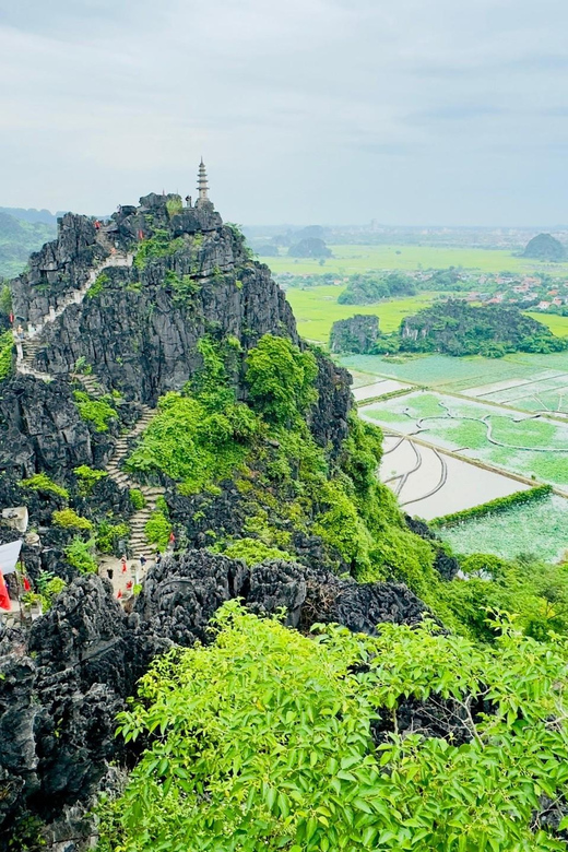 Ninh Binh Adventure: Hoa Lu, Tam Coc & Mua Cave in a Day - Guided Experience