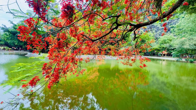 Ninh Binh Adventure: Hoa Lu, Tam Coc & Mua Cave in a Day - Additional Information
